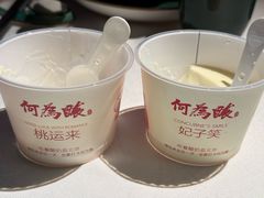 -大鸭梨烤鸭(望京店)