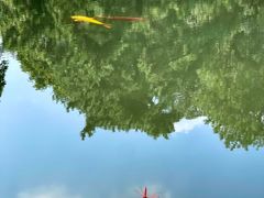 -杭州植物园
