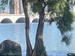 -飞来湖湿地公园