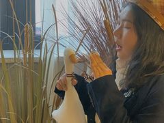 -蛋黄纪简餐厅