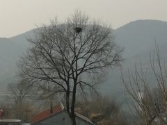 -柳沟豆腐宴69号福豆堂