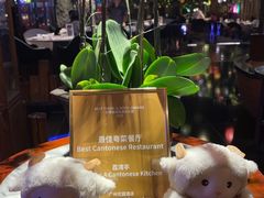 -广州花园酒店荔湾亭·地道点心·粤式饮茶