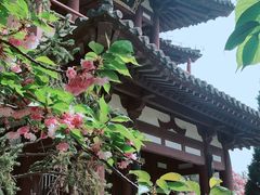 -西安青龙寺遗址景区