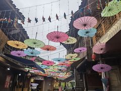 -老字号怡玺·藿香雅鱼(20年雅安店)