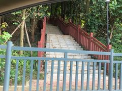 -南国桃园旅游度假区