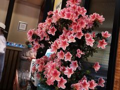 -南园民国茶楼餐厅·常州菜(北大街店)