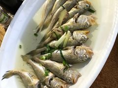 梅童鱼-胖大嫂渔家排档(半边山店)