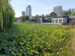 -桐乡植物园