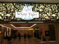 门面-白虎自助餐厅·真老虎·景观自助餐厅(广州长隆酒店)