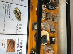 -平行世界·猫咖(首经贸店)