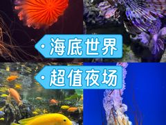 -太平洋海底世界