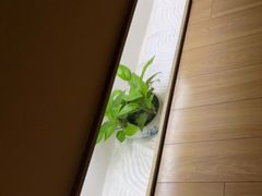 -常乐·对症推拿(解放碑英利大融城店)