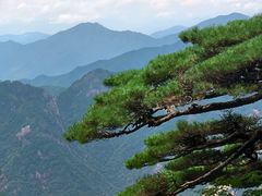 -黄山风景区