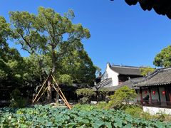 -上海醉白池公园