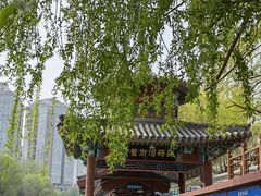 -皇家御河游(紫御湾码头)