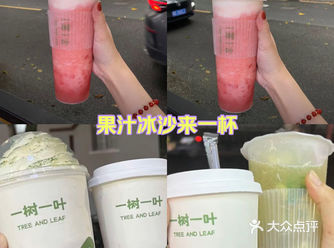 最近尝鲜了“一树一叶”奶茶，确实别有一番风味