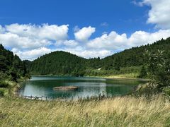 -武陵山森林公园