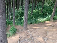 -驼梁风景区