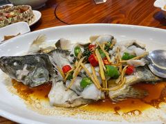 -顺德了能馆(虎门店)