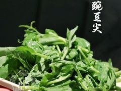 -四川简阳羊肉汤火锅(金台路店)
