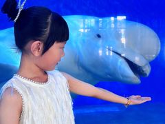 -泉城欧乐堡海洋极地世界