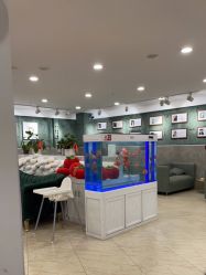 -芳妮豆丁家庭影像馆(宝安店)