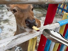 -西部长青自然儿童乐园