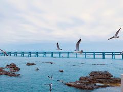 -黑石礁公园