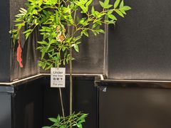 -滇铺子·云南特色菜·第九届野生菌美食节(曲靖万达店)