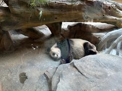 -宁波野生动物园