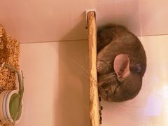 -龙猫仔乐园(惠福东路店)