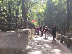 -灵岩山风景区
