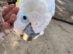 -云南野生动物园