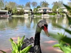 -春晖园度假酒店温泉