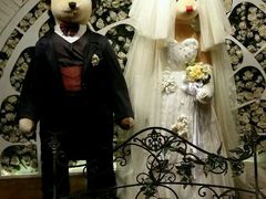 -济州岛泰迪熊博物馆