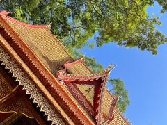 -曼听御花园