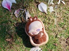 -金砂公园