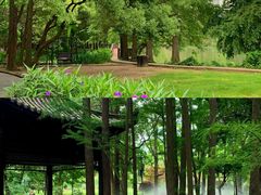 -东湖落雁景区