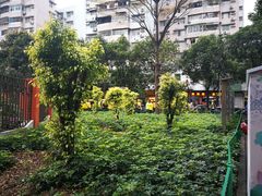 -广州市南武中学