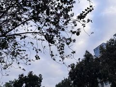 -珠海圆明新园