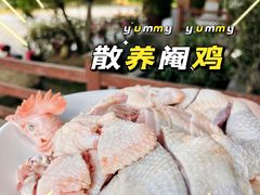 -兴隆槟榔园休闲农庄