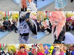 -海合安武汉极地海洋公园