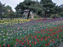 -长春公园(普阳街道)