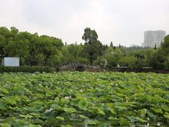-无锡蠡湖国家湿地公园-蠡园