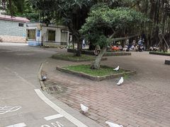 -霞山观海长廊