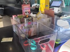 -极限PLAY运动娱乐新世界·团建派对潮玩休闲馆·室内蹦极高空游乐园