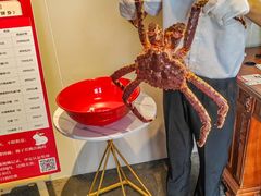 -揽季锅物会·海鲜姿造(三坊七巷店)