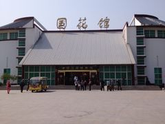 -曹州牡丹园