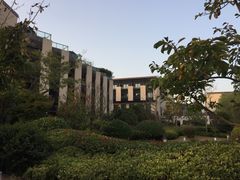 -上海崇明金茂凯悦酒店