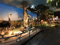 -国家自然博物馆